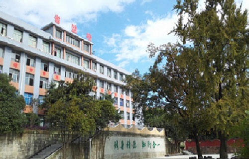 四川省盐业学校图片