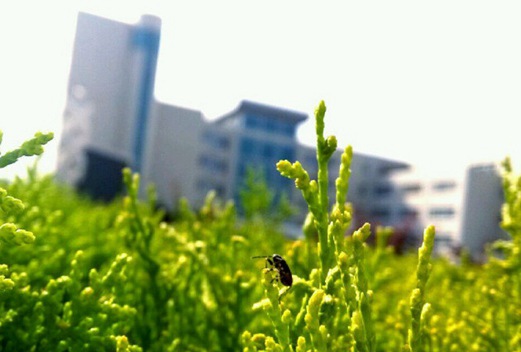 天水师范学院图片