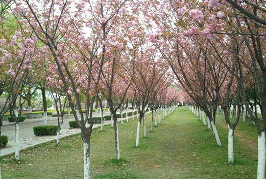 上饶师范学院图片