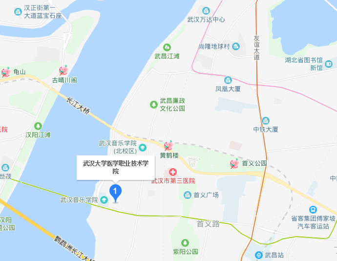 武汉大学医学职业技术学院2019年地址在哪里