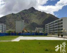 西藏十大职业学校排名'