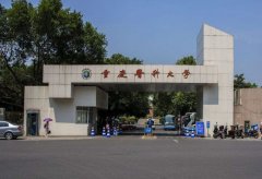 重庆医科大学2023年网站网址