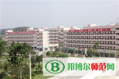 毕节幼儿师范高等专科学校网站网址