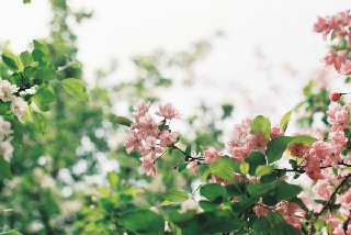 四川省最好的幼师学校