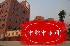重庆文化艺术职业学院的招生要求是什么
