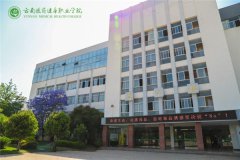 2023年云南医药健康职业学院升学渠道